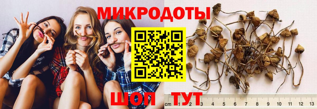 Псилоцибиновые грибы GOLDEN TEACHER Тайшет