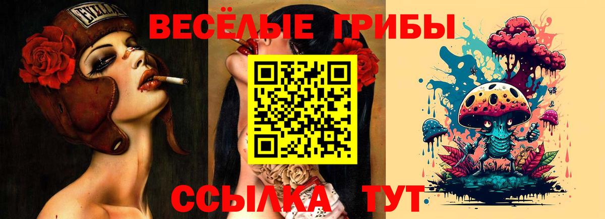Тайшет  Галлюциногенные грибы мухоморы  Вход с VPN  Псилоцибиновые грибы Cubensis 